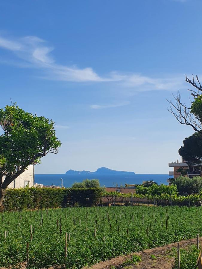 Stone Garden B&B Ercolano Exterior photo