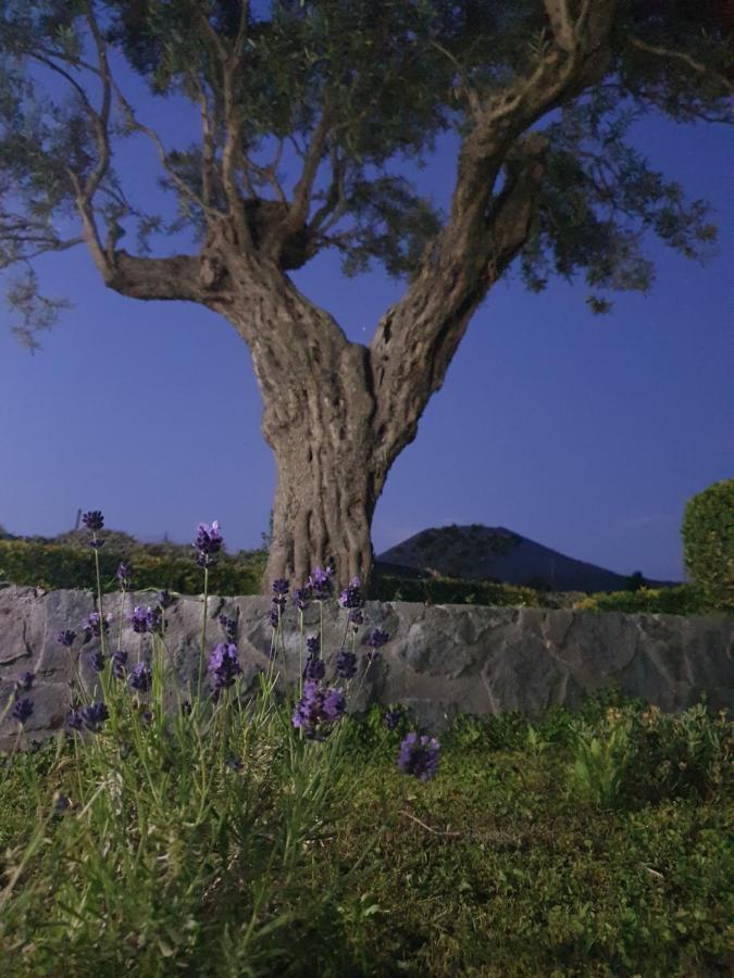 Stone Garden B&B Ercolano Exterior photo