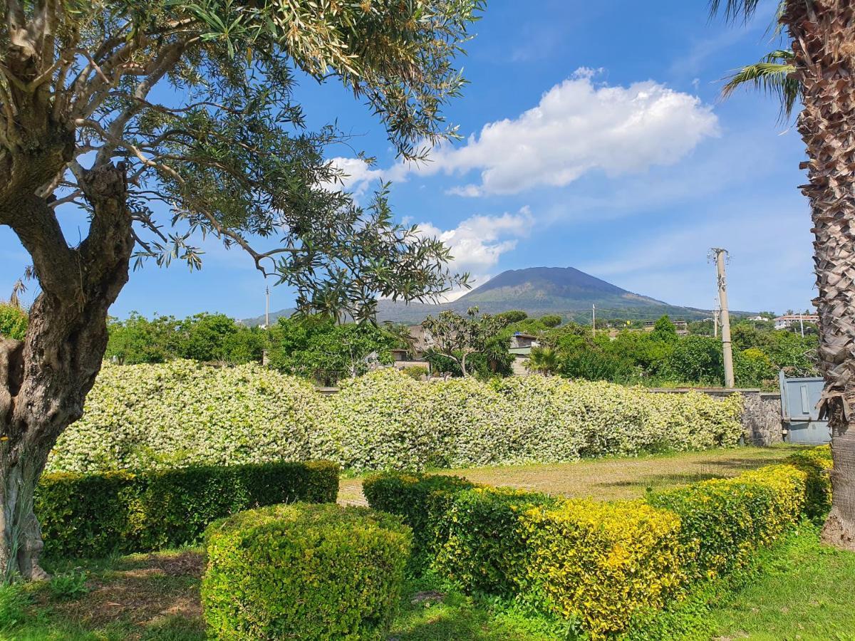 Stone Garden B&B Ercolano Exterior photo