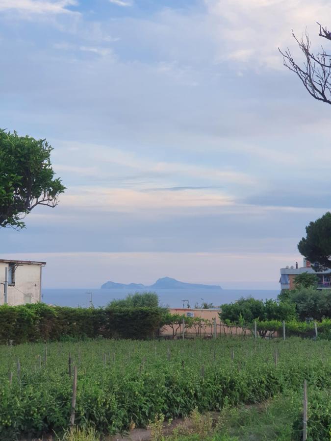 Stone Garden B&B Ercolano Exterior photo