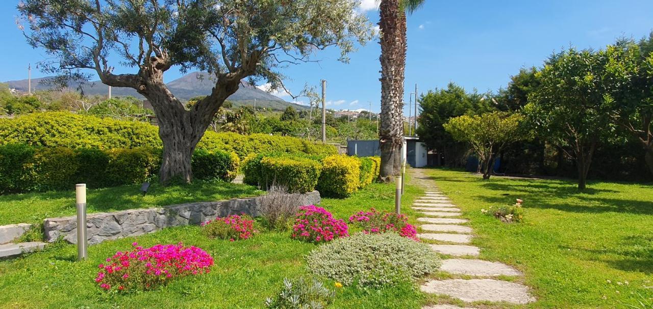 Stone Garden B&B Ercolano Exterior photo