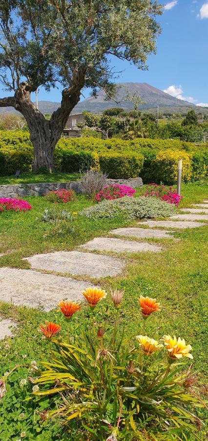 Stone Garden B&B Ercolano Exterior photo